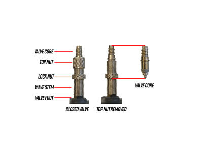 SCHWALBE Inner Tubes (Woods Valve) click to zoom image
